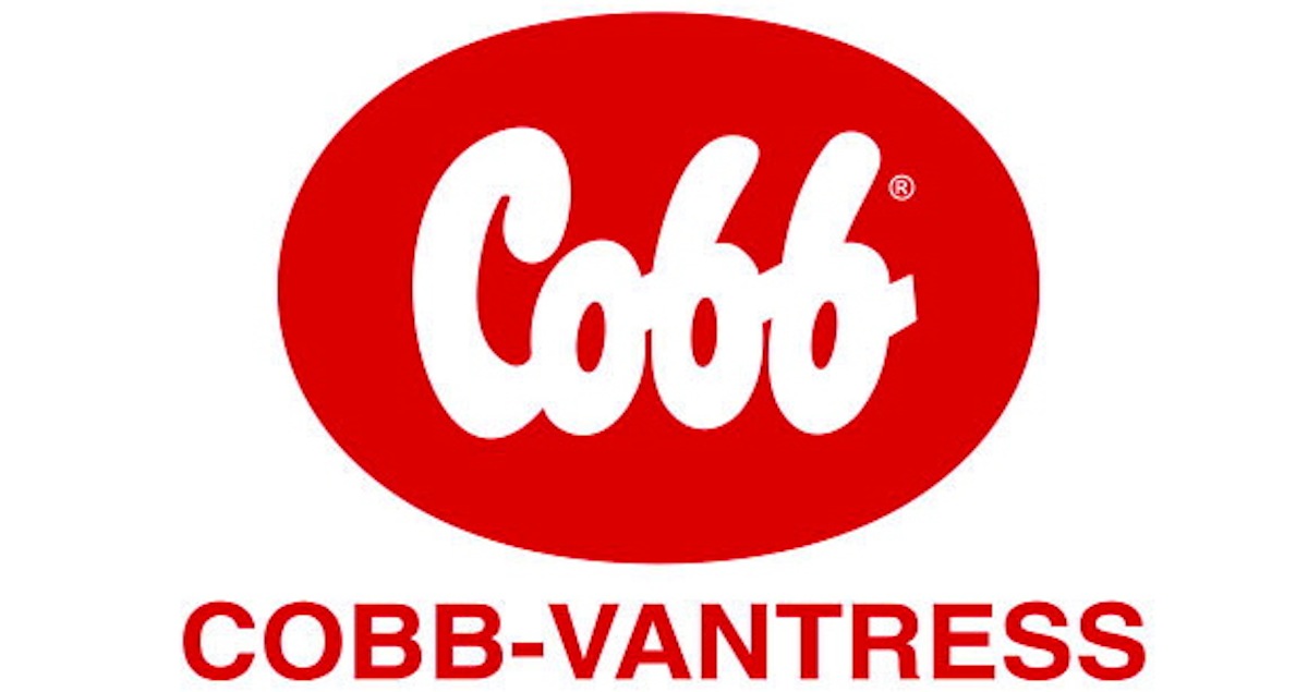 cobbvantress